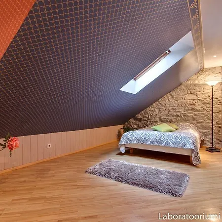 Apartment Luxury - Old Town By Rikas